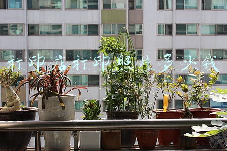打印店门头图片(打印店门头照片)