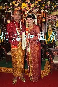 三佰瑞冻酸奶加盟 三佰瑞冻酸奶加盟费多少钱