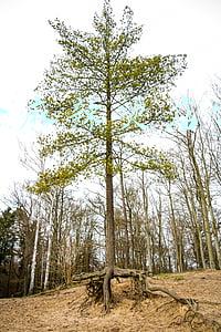 淘宝网怎么开店_怎么样开一个淘宝店