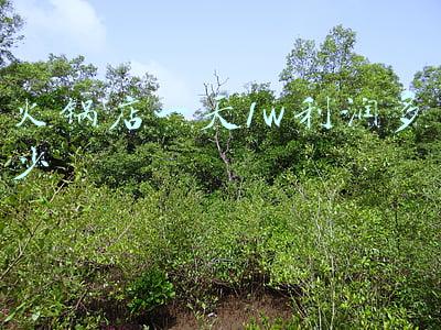 火锅店一天1w利润多少 火锅店一天1w利润多少