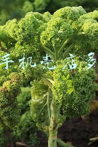 开一家手机壳店挣钱吗；开个手机壳店需要多少钱