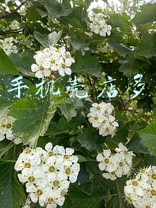 淘宝开手机壳店经验《手机壳淘宝店怎么做起来》