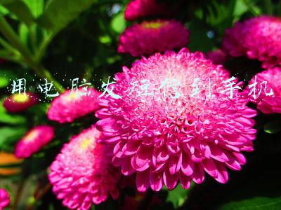 用电脑发短信到手机不留痕迹(旧手机如何处理方能避免信息泄露？)