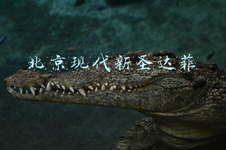 北京现代新圣达菲车型(2021款现代圣达菲发布 搭2.2T引擎，外观升级，配置丰富)
