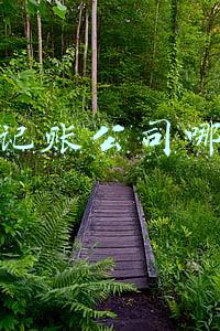 代理记账公司哪家好怎么选择(代理记账哪家公司最靠谱？)