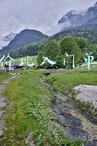 性价比入门单反