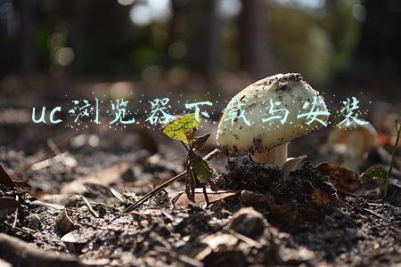 uc浏览器下载与安装