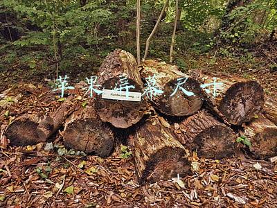 苹果屏幕尺寸