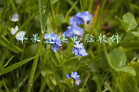 苹果连接电脑软件