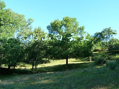 孟浩然北山白云里(唐诗三百首｜16孟浩然《秋登兰山寄张五》北山白云里，隐者自怡悦)