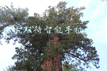 双卡双待智能手机排行