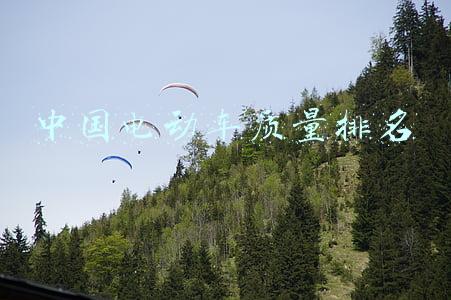中国电动车质量排名