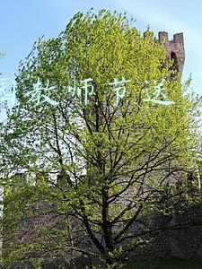 幼儿园教师节送什么礼物好