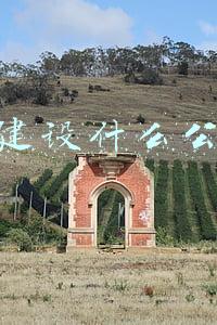 网站建设什么公司好