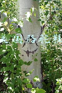 美国骆驼鞋子质量怎么样是什么档次(宁波4批次鞋类商品不合格，骆驼、百丽、小CK被点名)