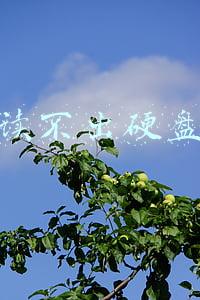 不识别硬盘(电脑硬盘无法识别的原因有哪些)