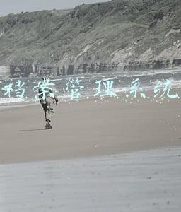 免费档案管理系统软件