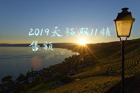 2019天猫双11销售额全国排名(双十一七大厂商终极战报 荣耀10个冠军，小米三平台销量第一)