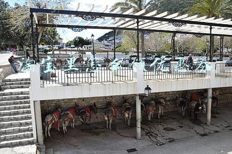 淘宝里怎么领优惠券