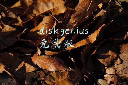 diskgenius免费版