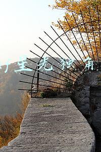 dnf星光独角兽怎么得(DNF站街偶遇星光独角兽，卡天空的福音可惜早已绝版)