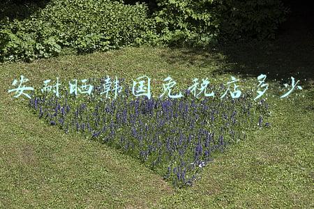 去韩国必买的防晒霜(韩国最畅销的防晒霜)