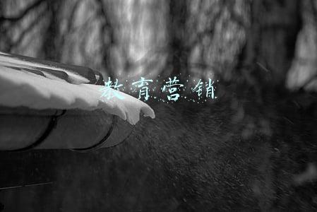 营销培训方案(2022年开年销售人员培训方案（精心设计-收藏）)