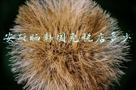 安耐晒啫喱和金瓶的区别：安耐晒啫喱
