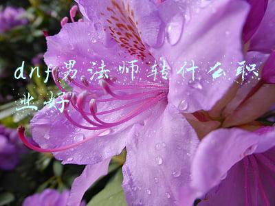 dnf男法师转什么职业好2014(DNF：大硕解析男枪第五转职！武器步枪概率最大，并非固伤型职业)