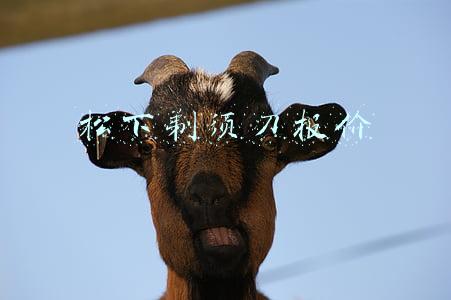 松下剃须刀配件大全(演绎型男风范 松下多功能剃须刀ES-LL40体验)