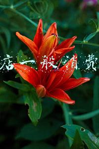去夜店一般消费多少