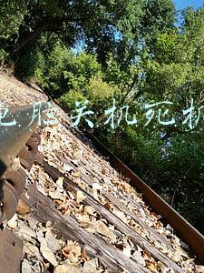 电脑关机死机了无法开机(电脑打不开看这：常见问题\u0026解决方案汇总)