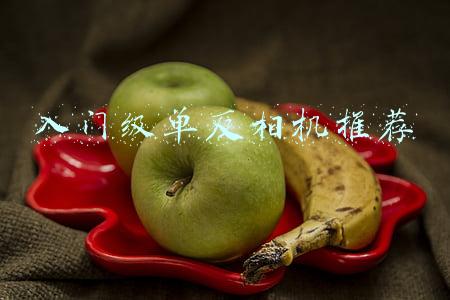 入门级单反相机推荐