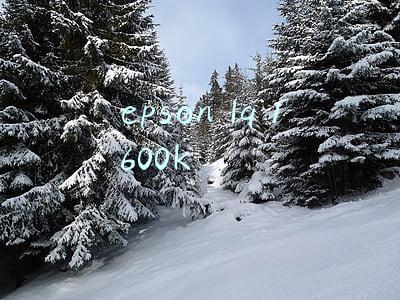epson lq 1600k