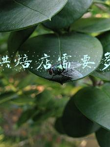 加盟烘焙店需要多少钱