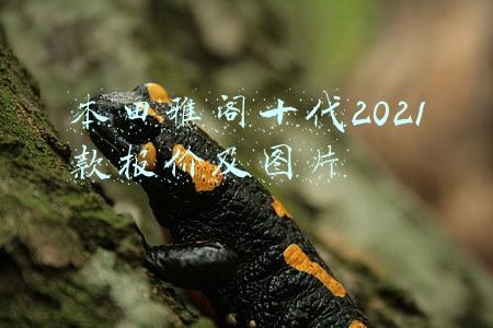 本田雅阁十代2021款报价及图片