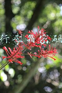 行李箱密码