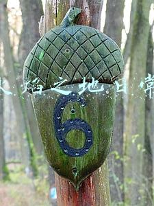 火焰之地谁掉坐骑(《魔兽世界》坐骑纯血火鹰怎么获得 坐骑纯血火鹰获取攻略)