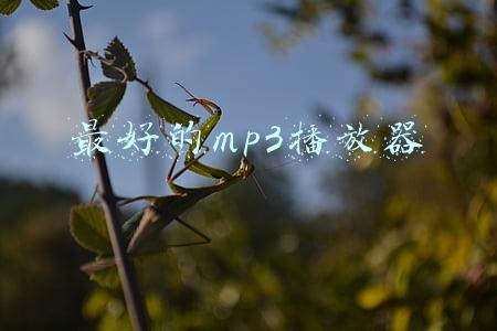 最好的mp3播放器