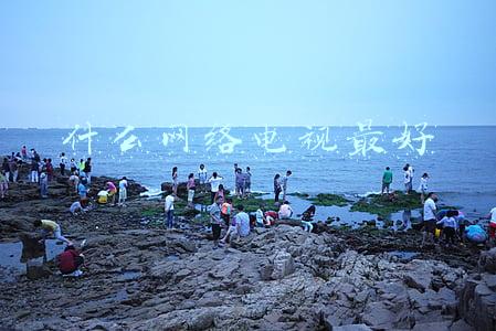 什么牌子的网络电视最好(电视品牌太多不知如何选购？沙发管家带你了解各大品牌最佳电视)