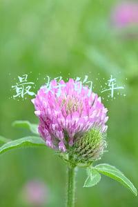 最好的车排行榜(911不敌思域 奇骏位列三甲 美媒试驾过的2021十佳好车)