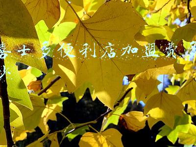 喜士多便利店加盟费多少
