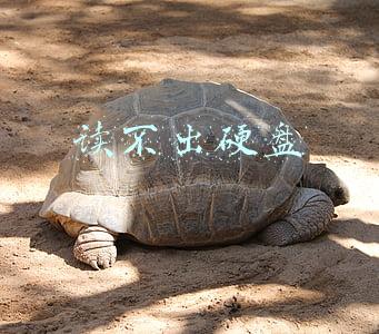硬盘盒读不出硬盘(无法读源文件或磁盘的解决方法教程)