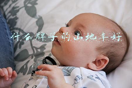 什么牌子的山地车好