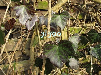 glgoo学术搜索官网(155个中外论文文献网站(含简介))