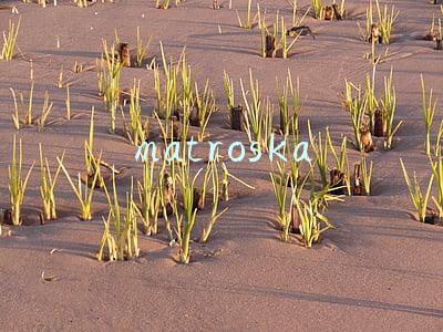 matroska