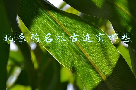 北京的名胜古迹有哪些