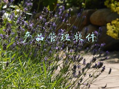 产品管理软件破解版(距“万亿GDP之城”仅一步之遥，这个地级市的“突破口”在哪？)