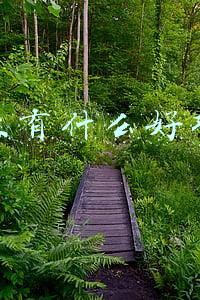 创业新项目(37个创新创业项目，在这里放飞梦想)