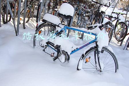 踏板摩托车报价